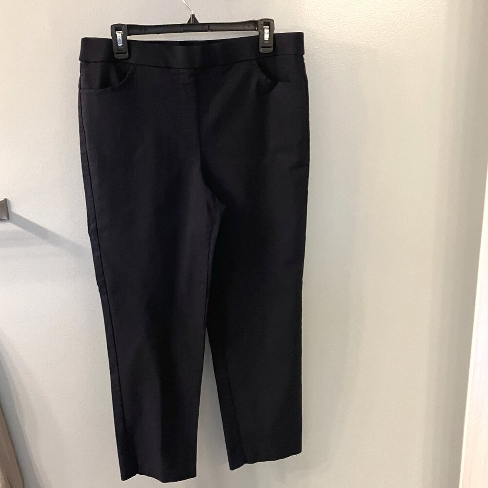 Alfred Dunner Womens 12 Blue Pull On Dress Pants Straight Leg Pockets Stretch